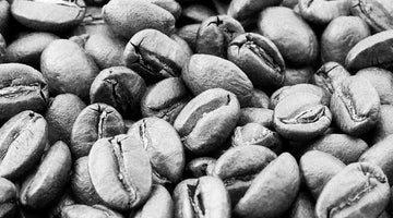 Crafty Cumbrians: Carvetii Coffee